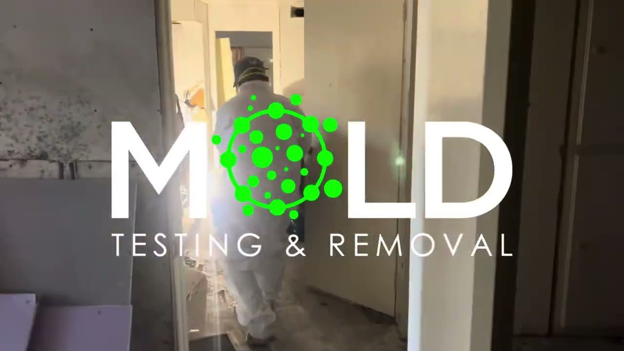 24-Hour Emergency Mold Inspection Miami – Protect Your Family’s Health